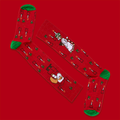 Stödstrumpor - Findus är Lucia