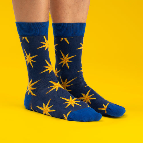 Socks - Luxury Poinsettia