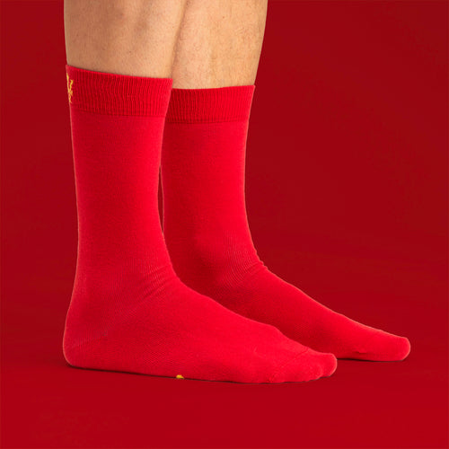Socks - Merry Christmas