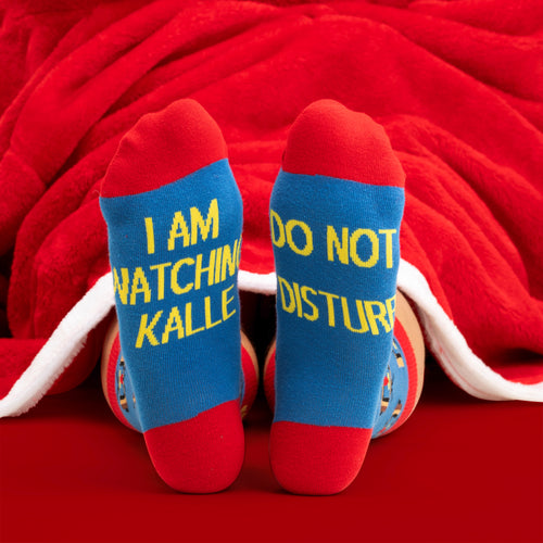 Socks - TV guy