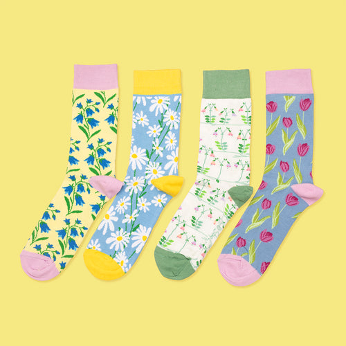 4-Pack Sommarblommor