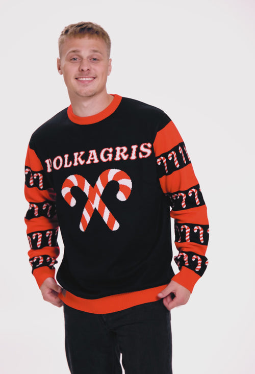 Christmas sweater - Polka pig
