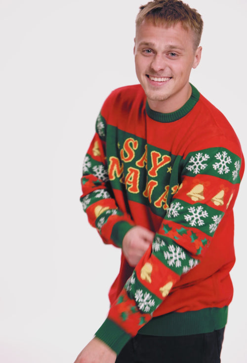 Christmas sweater - Polka pig