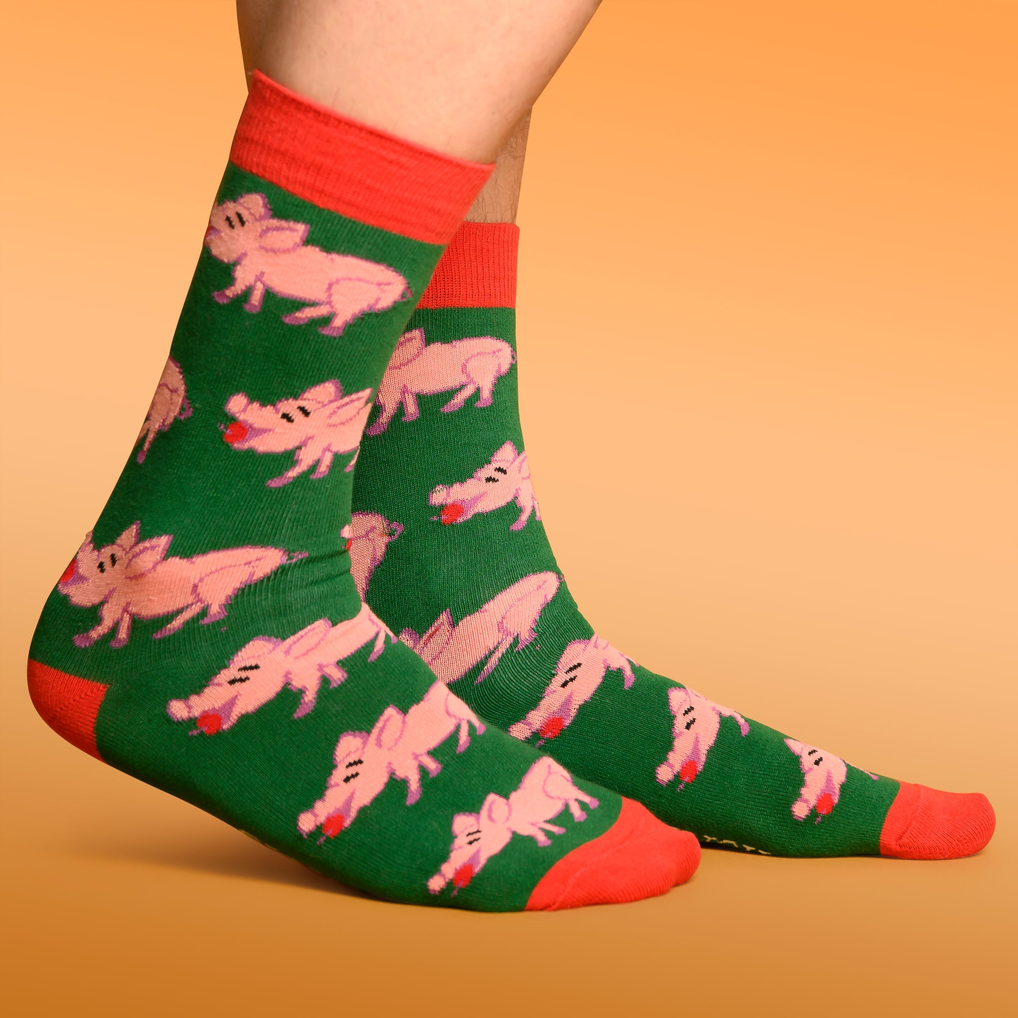 Socks Christmas pig